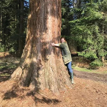 Bed and Breakfast Le Moulin En Route 4*