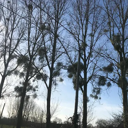 Le Moulin En Route Bed and Breakfast