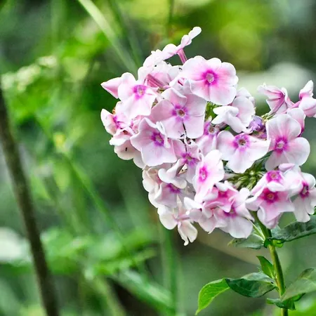 Panzió Le Moulin En Route