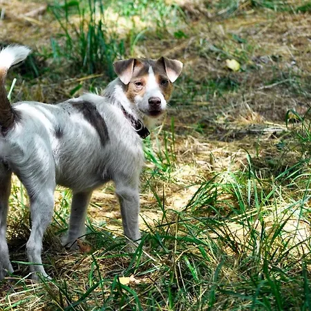 Panzió Le Moulin En Route 4*