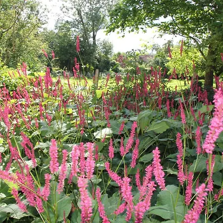 Le Moulin En Route Bed and Breakfast 4*