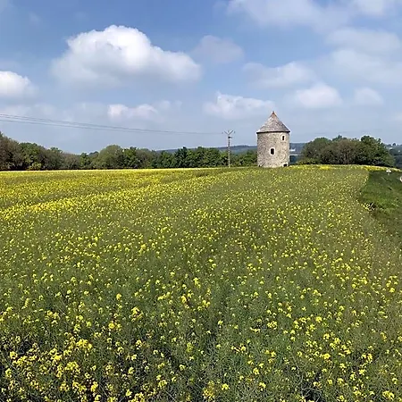 Bed & Breakfast Le Moulin En Route Bleves