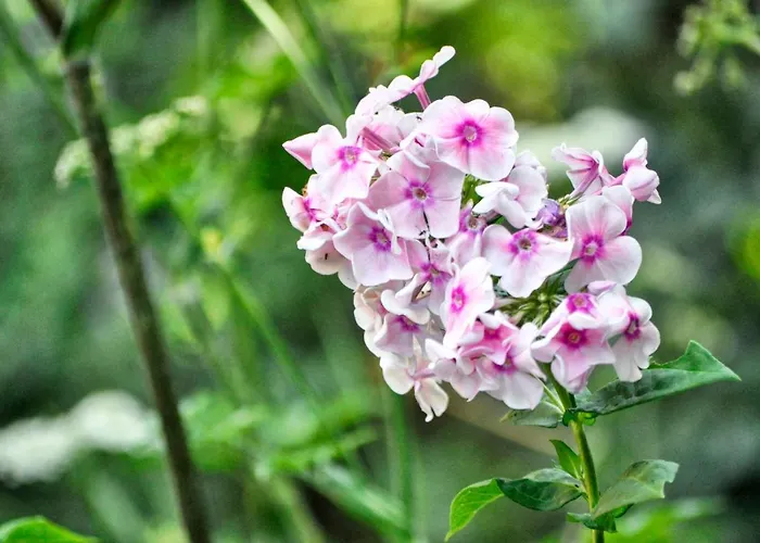 Nocleg ze śniadaniem Le Moulin En Route