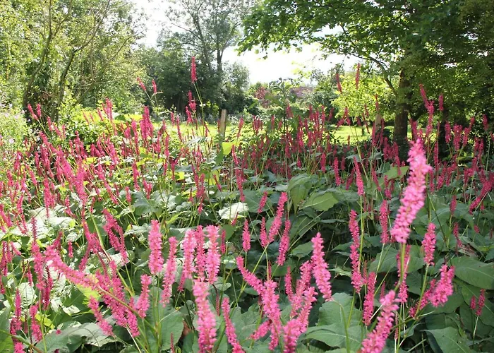 Le Moulin En Route Bed and breakfast 4*